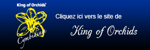 KoO-blok-FR