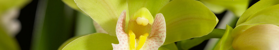 header012.jpg