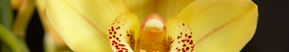header016.jpg