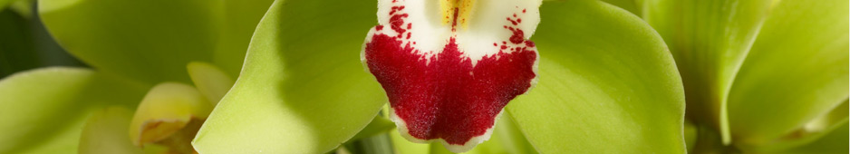 header024.jpg