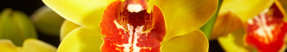 header026.jpg