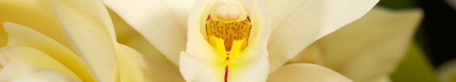 header028.jpg