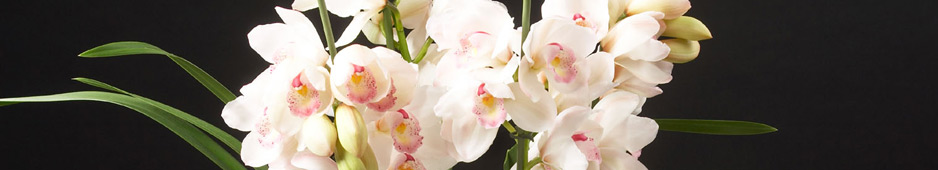 header041.jpg