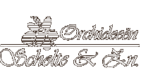 logo scholte orchideeen